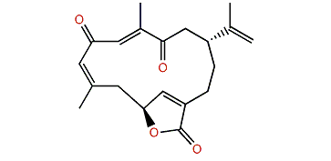 Isoepilophodione B